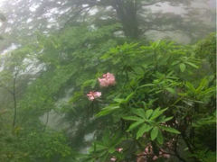 iphone_upload_pic-大明山自然探索公园