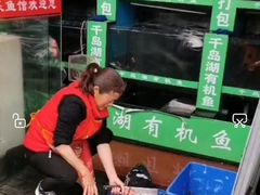 -全乐鱼馆·淳牌有机鱼直营店