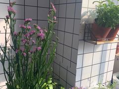 -两知·自习室(三峡广场总店)