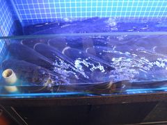 -唐伯虎新派湘菜馆(石夏时代广场店)