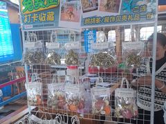 -蓝湾碧波·老字号·疍家非遗海上餐厅