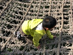 -呀路古热带植物园