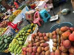 -三亚新鸿港水果一级批发市场
