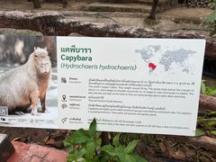 -清迈夜间动物园