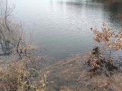 -仙海旅游度假区