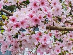 -桃花涧