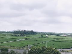 -雪绿茶博物馆