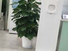 -南京市口腔医院(第五门诊部)