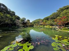 -云溪植物园