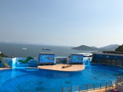 -麦当劳(海洋公园店)