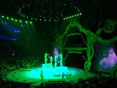 -珠海横琴长隆《卡卡虎奇遇记》