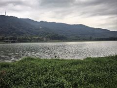 -风云岭森林公园