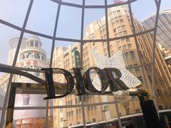-Dior迪奥(上海世茂广场店)