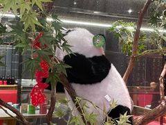-四川饭店(城乡购物中心店)