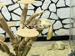 -海合安武汉极地海洋公园