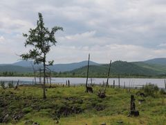 -洮儿河国家湿地公园