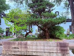 -上海醉白池公园