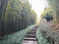 -良渚古城遗址公园