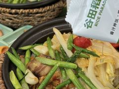 -谷田稻香·砂锅菜(王府井百货店)