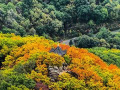 -吉林市朱雀山国家森林公园