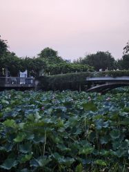 -玄武湖景区-情侣园游乐场