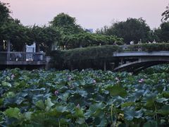 -玄武湖景区-情侣园游乐场