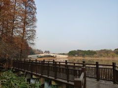 -东湖落雁景区