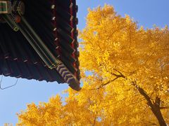 -承恩寺