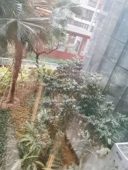 -广西壮族自治区妇幼保健院(厢竹院区)