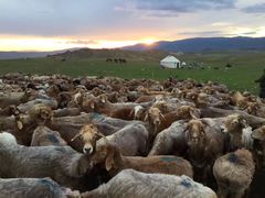 -新疆天山野生动物园