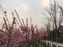 -西安汉城湖景区