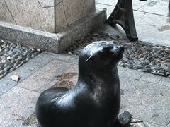 -灵玲国际马戏城