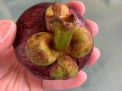 -鲜力达果品批发直销(青山店)