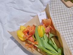 -蜀冈西峰生态公园