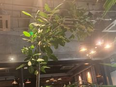 -泓0871臻选云南菜·味庄