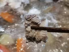 -九府羊·鲜羊火锅·烤串(新华路店)