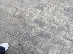 -九寨沟石锅鱼(沣峪口二十年店)