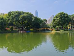 -晓港公园