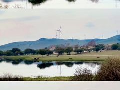 -御道口草原森林风景区