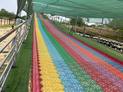 -泗洪洪泽湖湿地景区