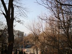 -风车面包