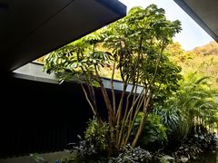 -云溪植物园