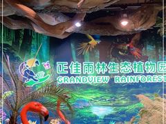 -正佳雨林生态植物园