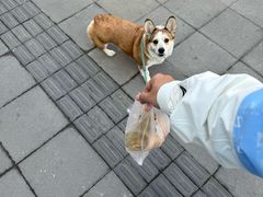 -胖子煎饼店(钦州南路店)