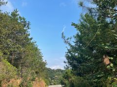 -广州白江湖森林公园