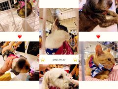 -远洋未来广场(育慧北路店)