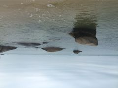 金海湾嘉华度假酒店-惠州金海湾嘉华度假酒店