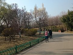 -燕郊植物园
