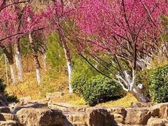 -佛慧山