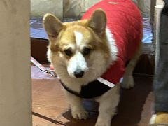 -肥朵食堂(带梦胡同店)